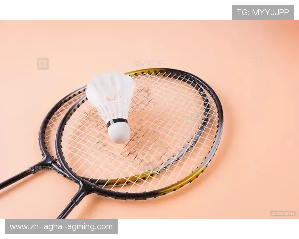 羽毛球球拍与球结合