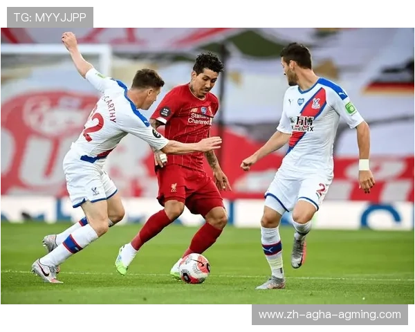 英超水晶宫球队：深入了解水晶宫队的历史与挑战